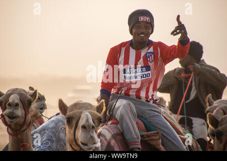 Camel Racing in Taif, Saudi Arabia Stock Photo