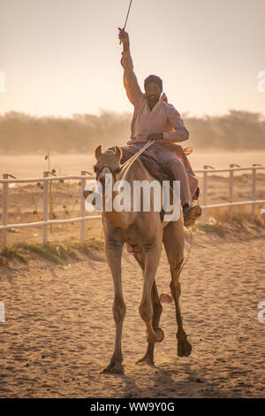 Camel Racing in Taif, Saudi Arabia Stock Photo