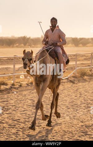 Camel Racing in Taif, Saudi Arabia Stock Photo