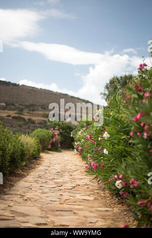 Naxos, Greece - June 28, 2018: Pink and white flowers line a stone walkway on the island of Naxos, a spot popular with tourists to Greece. Stock Photo