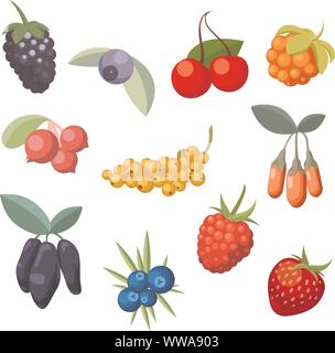 Set of various stylized ripe fresh berries. Berry collection Stock Vector