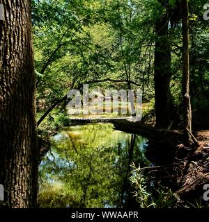 The Woodlands TX USA - 03-26-2019  -  Wooden Bridge Over a Creek 1 Stock Photo