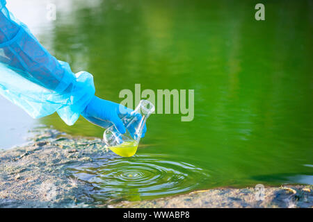 close-up environmentalist hand of a researcher, produces a process of taking a sample of water from a lake Stock Photo
