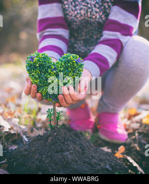 Hands of little taking care of heart shaped plant Stock Photo