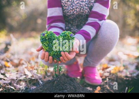 Hands of little taking care of heart shaped plant Stock Photo