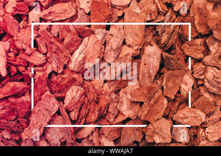 Creative layout in rustic style top view of pine bark or mulch in neon shades and framing with a white frame. Layout template spring, summer, autumn w Stock Photo