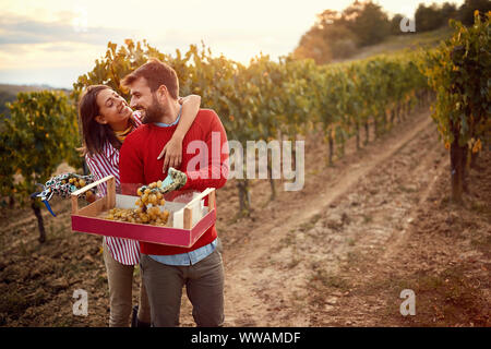 Smiling couple gather harvest grapes in vineyard Stock Photo