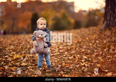 beautiful little boy with teddy bear in park on autumn day Stock Photo