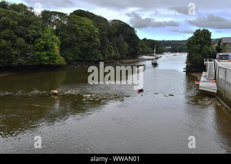 Afon Teifi at Cardigan, Wales Stock Photo