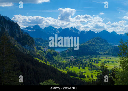 A mountain forest in the foreground, bright green meadows and blue mountains in the background Stock Photo