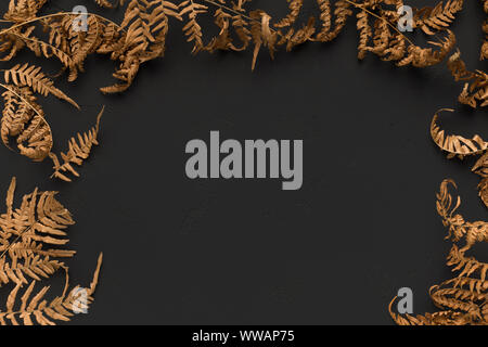 Autumn background with frame of fallen leaves on black Stock Photo