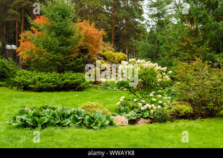 lawn in the park with landscaping from various ornamental plants, flowers and artificial rocks Stock Photo