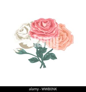 Beautiful set of roses of different color Stock Vector