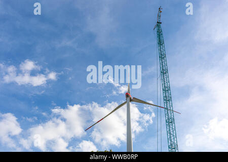 A large wind farm with many wind turbines is built near a small town in northern Germany
