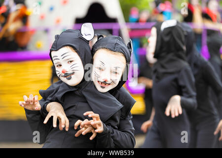 Cat festival in Ieper Stock Photo