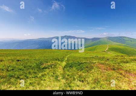 wonderful summer mountain landscape. beautiful green sunny scenery. path through grassy meadow on rolling hills. stoj and velykyy verkh peaks of borzh Stock Photo
