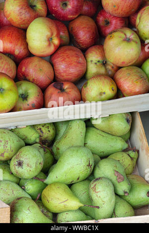Pears and apples in wooden box, close up Stock Photo