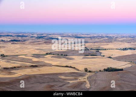 Mowing and harvest patterns in the Palouse landscape at dawn in late summer, Steptoe Butte State Park, Washington, USA Stock Photo