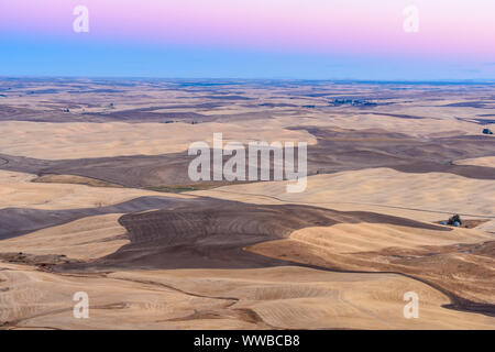 Mowing and harvest patterns in the Palouse landscape at dawn in late summer, Steptoe Butte State Park, Washington, USA Stock Photo