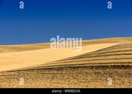 Mowing and harvest patterns in the Palouse landscape in late summer, Whitman County, Washington, USA Stock Photo