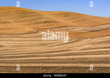 Mowing and harvest patterns in the Palouse landscape in late summer, Whitman County, Washington, USA Stock Photo