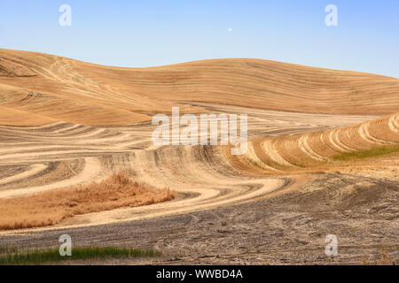 Mowing and harvest patterns in the Palouse landscape in late summer, Whitman County, Washington, USA Stock Photo