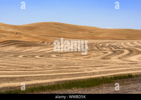 Mowing and harvest patterns in the Palouse landscape in late summer, Whitman County, Washington, USA Stock Photo