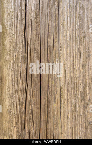 Fence from old weathered pine boards. Texture of natural aged wood. Woodworm holes, rusty nails. Creative vintage background Stock Photo