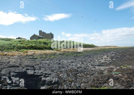 The shoreline of Inner Farne island with the Chapel of St Cuthbert in the distance, Northumberland, UK Stock Photo