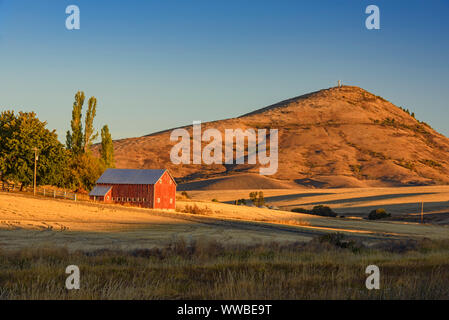 Farmland in late summer, Dry Creek Road near Colfax, Washington, USA Stock Photo