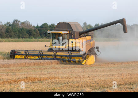 New Holland CR9080 Combine Harvester at Work Stock Photo