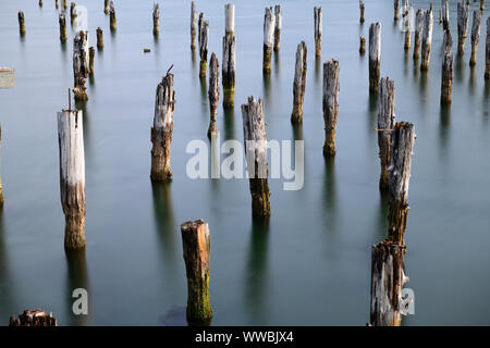 Fine art long shutter picture of old pier posts in the ocean at Coos Bay, Oregon, USA, North America