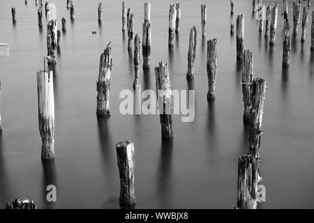 Fine art long shutter picture of old pier posts in the ocean at Coos Bay, Oregon, USA, North America in black and white