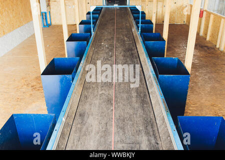 Trash being sorted on conveyor belt, cropped new clean Stock Photo