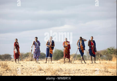 Ngorongoro, Tanzania, 10th September 2019: maasiai warriors in a landscape of Northern Tanzania Stock Photo