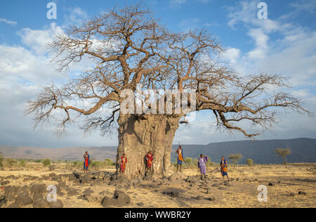 Ngorongoro, Tanzania, 10th September 2019: maasiai warriors at a big Baobab tree Stock Photo