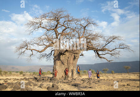 Ngorongoro, Tanzania, 10th September 2019: maasiai warriors at a big Baobab tree Stock Photo