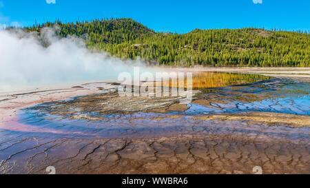 The area surrounding Grand Prismatic Spring, as thick steam rises from the famous hot spring in the Midway Geyser Basin at Yellowstone N.P., USA. Stock Photo
