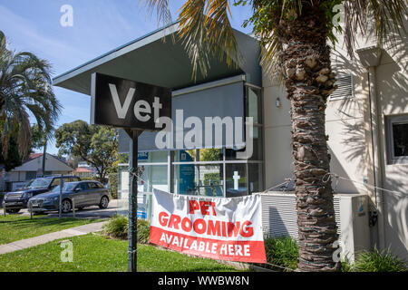 Sydney Animal Hospital And Vet In Newport Beach Sydney Australia