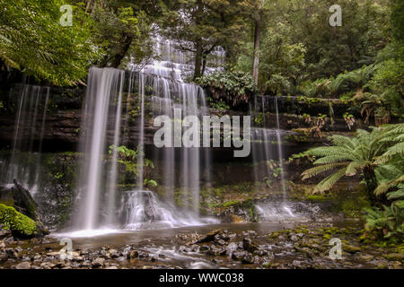 Scenic Russel Falls in Tasmanian rainforest, Mount Field NP, Tasmania Stock Photo