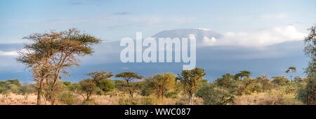 View of the Kilimandjaro mountain in Tanzania, with the savannah, beautiful panorama Stock Photo