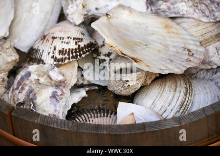 Clam, oyster, and other shells sit in a wooden bucket in the Ameyoko (Ameyayokocho) outdoor market near Ueno Station Stock Photo