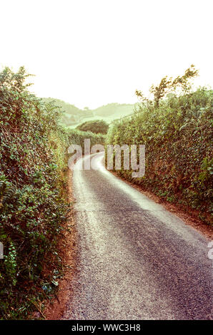 Narrow country lane leading down to Hope Cove, Kingsbridge, Devon, England, United Kingdom. Stock Photo