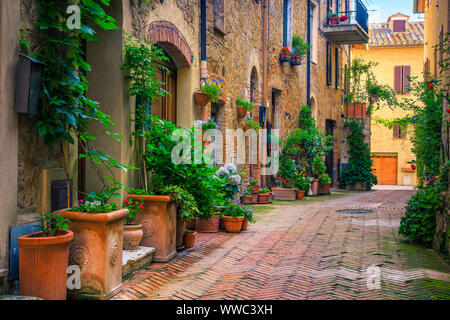 Admirable traditional Tuscany street view. Spectacular medieval stone houses and narrow cute paved street with flowery entrances, Pienza, Tuscany, Ita Stock Photo