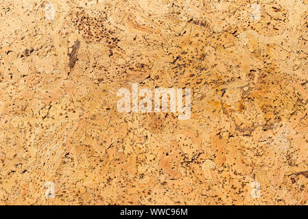 Texture from a corkwood background in brown-yellow color, close up shot. Stock Photo