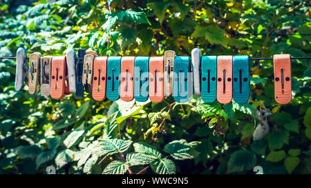 Plastic and Metal Clothespins on Clothes Line on Blurred Green Leaves Background on a Sunny Summer Day. Stock Photo