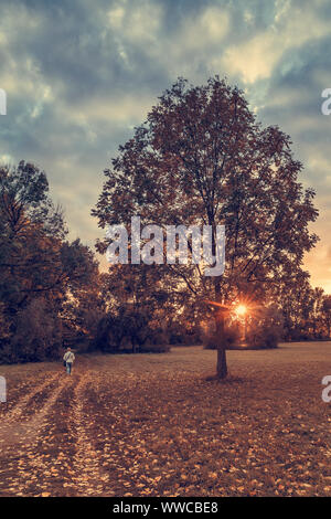 A woman is walking in the park at sunset Stock Photo