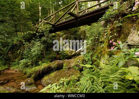 The Black Forest ist one of the most beautiful natures in germany Stock Photo