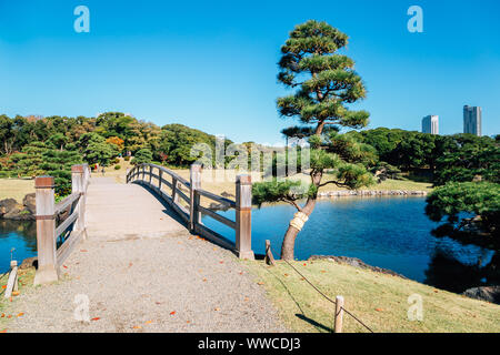 Hamarikyu Gardens in Tokyo, Japan Stock Photo