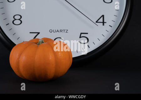 Mini pumpkin in foreground with big white clock, showing its time for pumpkin with black background at one o clock. concept and close up. Stock Photo